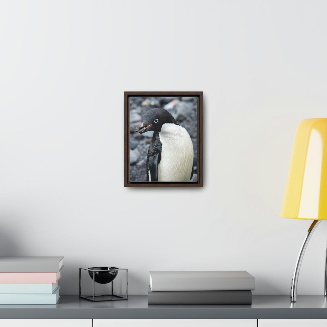 A Penguin's Pebble - Canvas with Frame