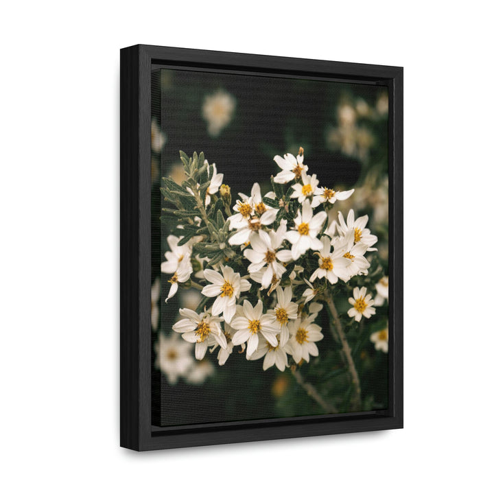 A Touch of White - Canvas with Frame