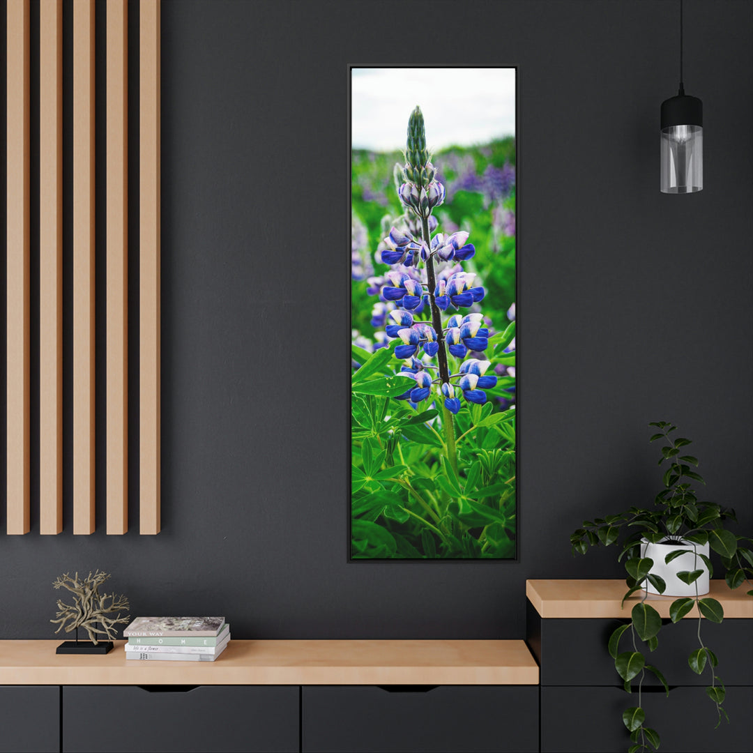 Glowing Lupin - Canvas with Frame