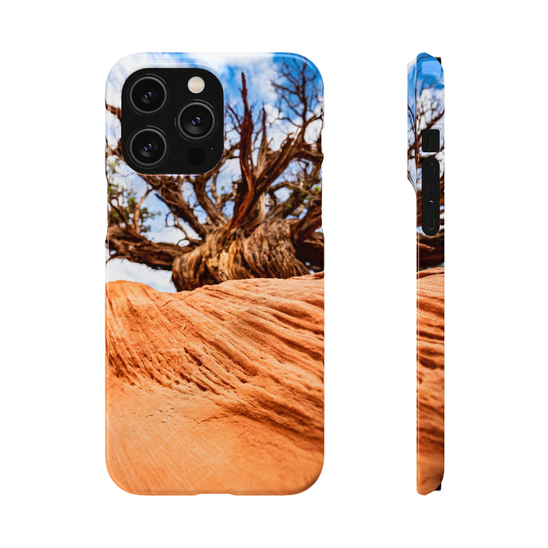 Desert Reach - Phone Case