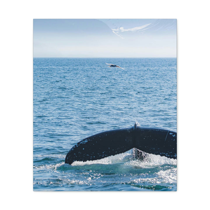 A Whale and A Mountain - Canvas