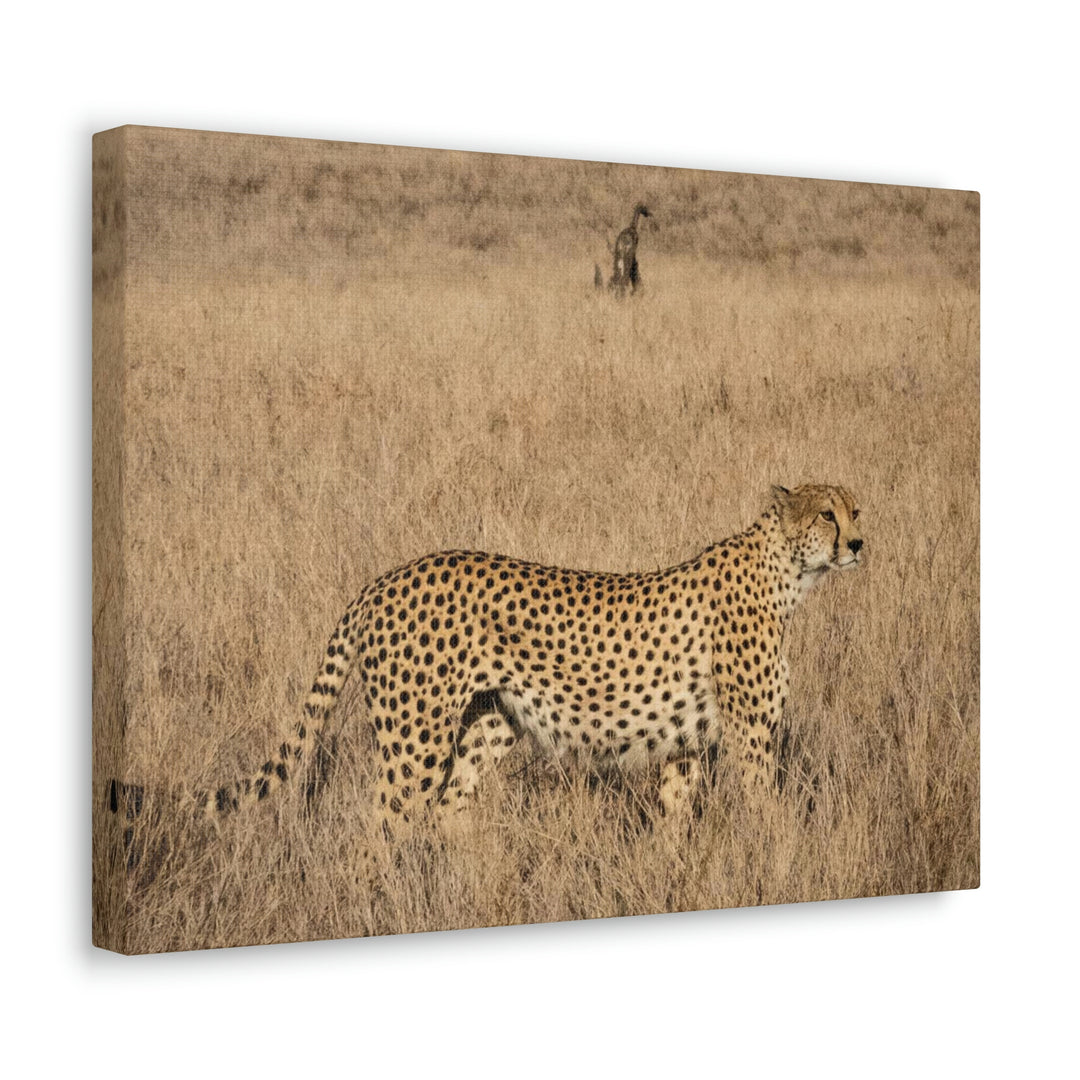 Regal Camouflage - Canvas