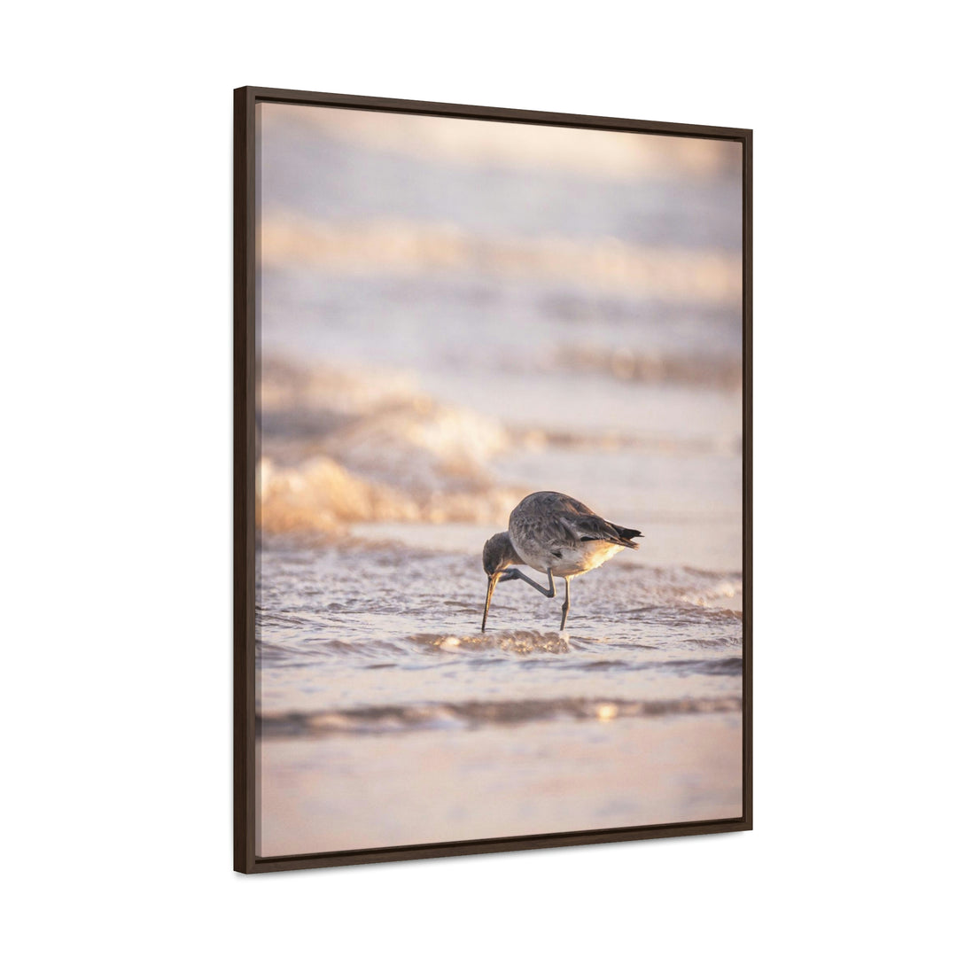 Willet Itch - Canvas with Frame