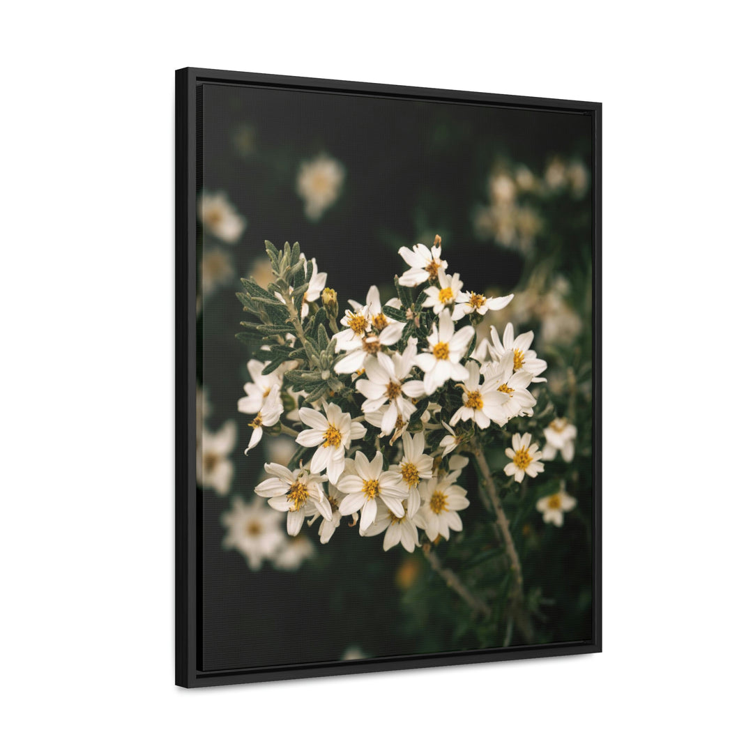 A Touch of White - Canvas with Frame