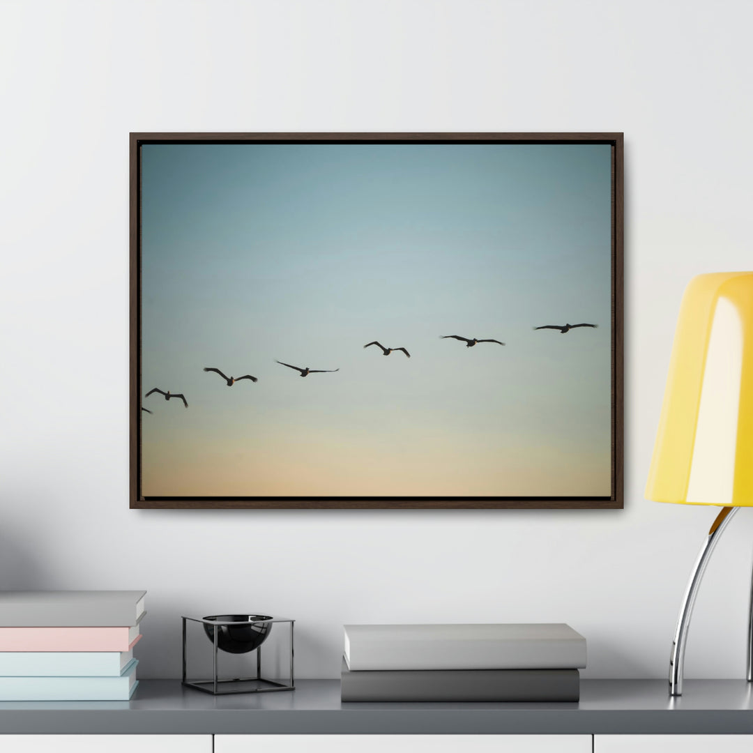 Brown Pelicans in Flight - Canvas with Frame