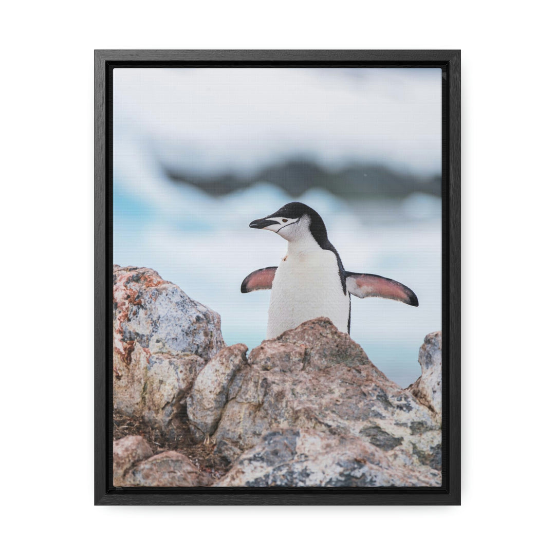 Stretched Penguin - Canvas with Frame