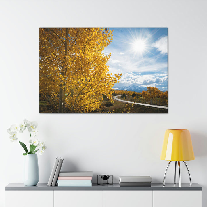 Golden Sunshine - Canvas