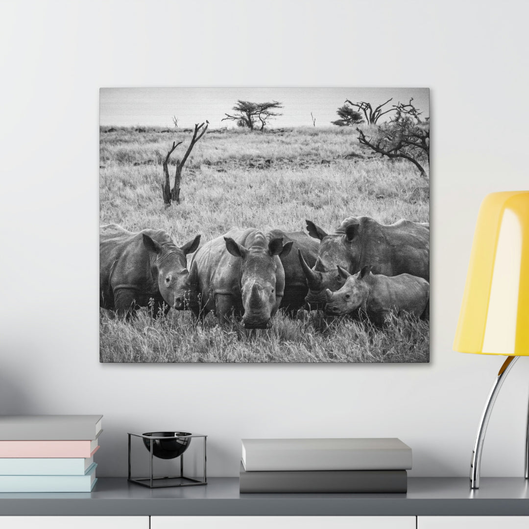 Rhino Family in Black and White - Canvas