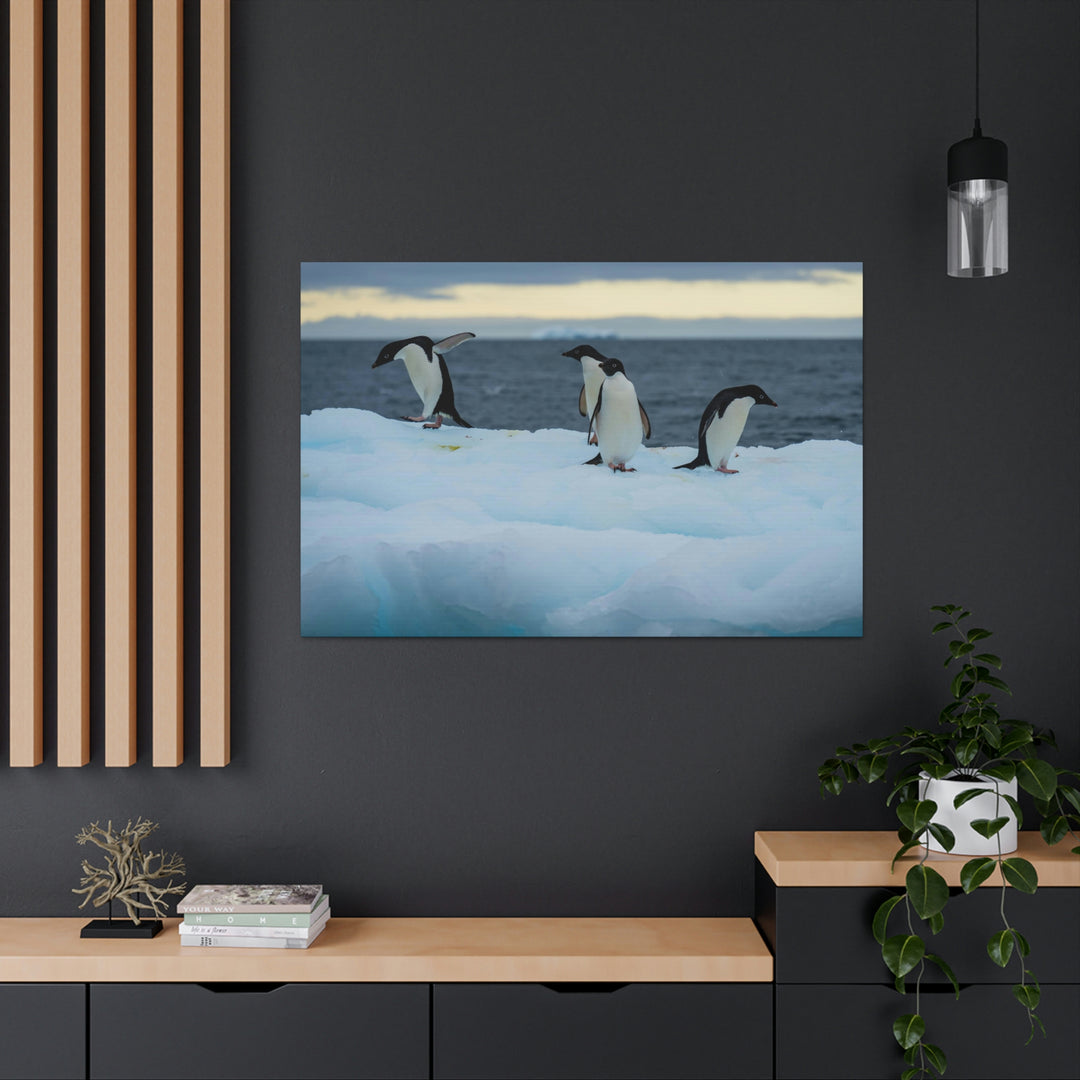 Penguin Dance - Canvas