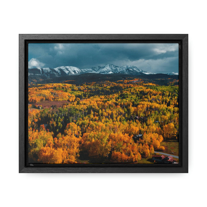 Golds of Autumn - Canvas with Frame