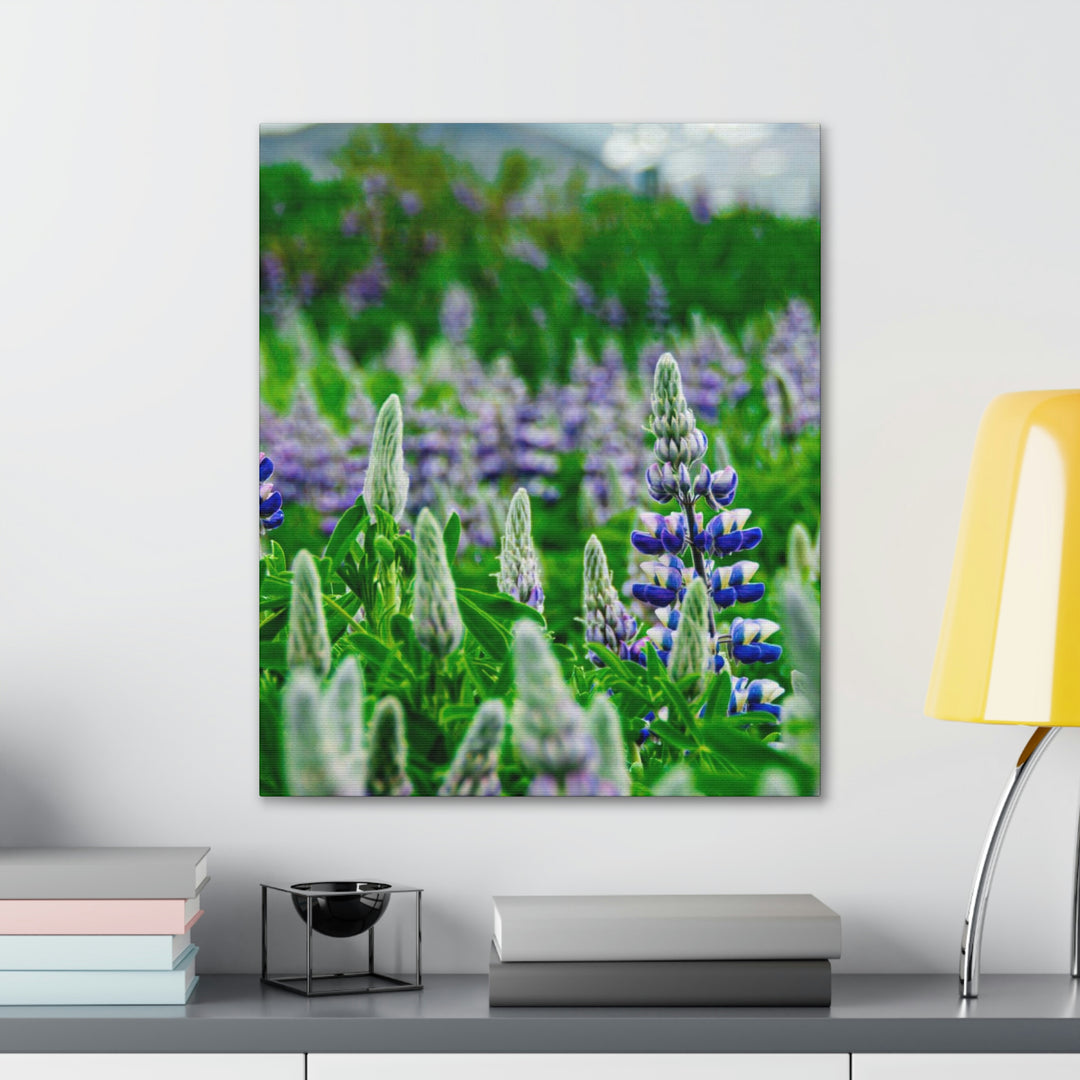 Glowing Lupin with Mountains - Canvas