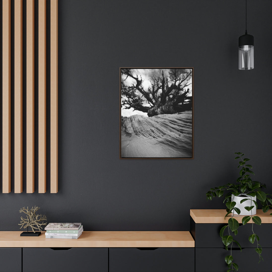 Desert Reach in Black and White - Canvas with Frame