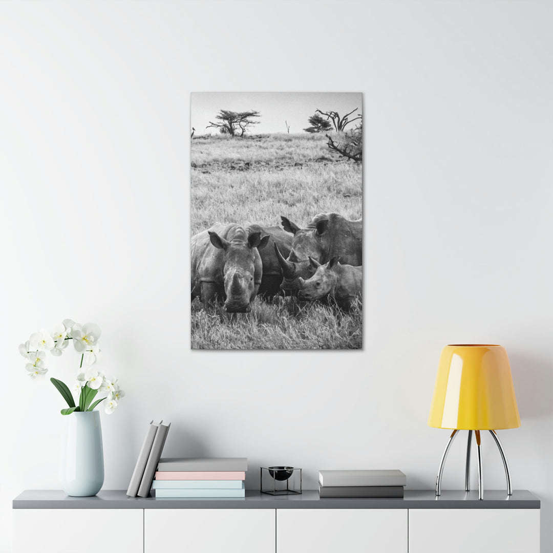 Rhino Family in Black and White - Canvas