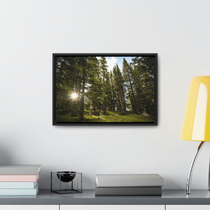 Forest Light - Canvas with Frame