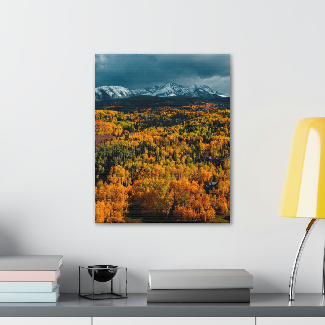 Golds of Autumn - Canvas