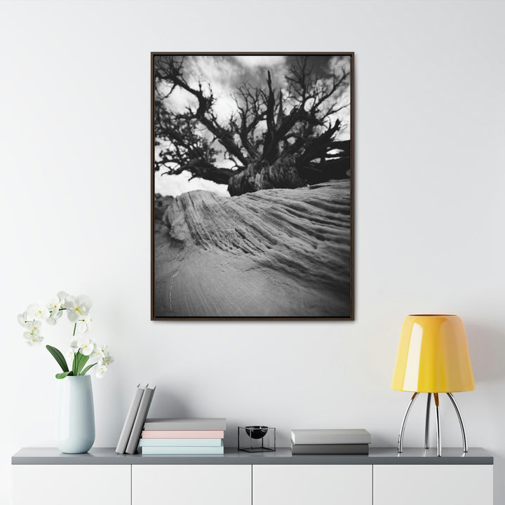 Desert Reach in Black and White - Canvas with Frame