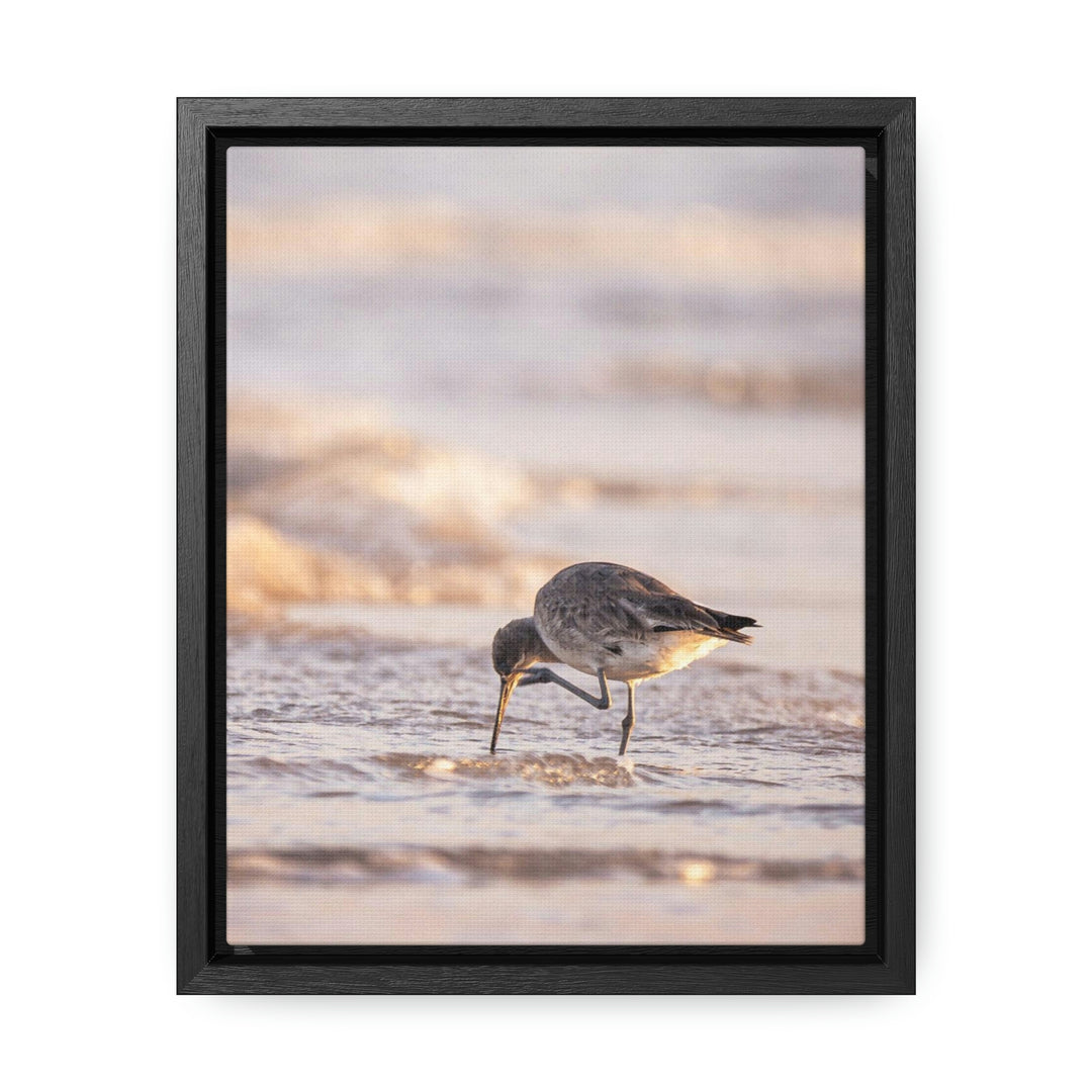 Willet Itch - Canvas with Frame