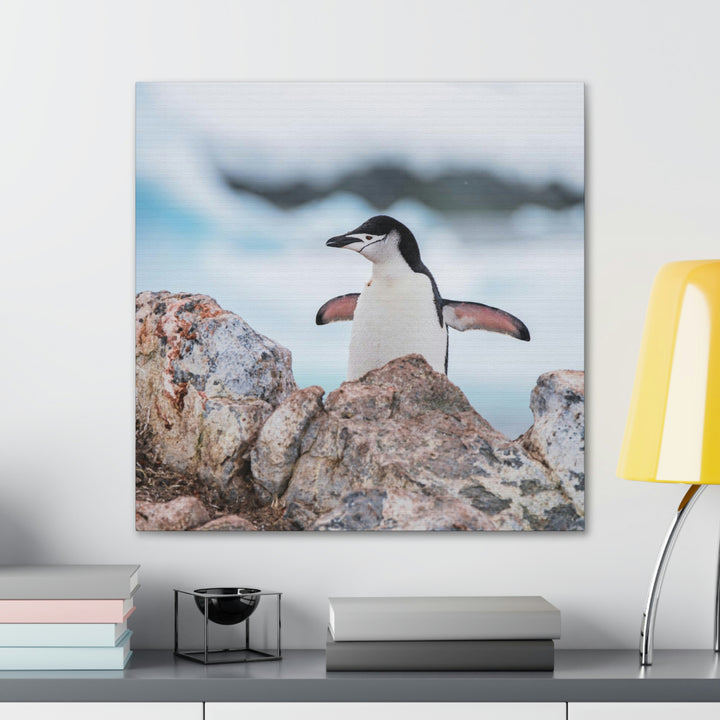 Stretched Penguin - Canvas