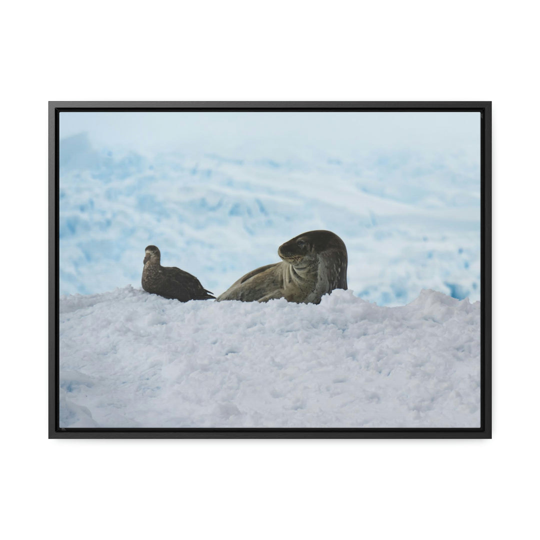 A Resting Pair - Canvas with Frame