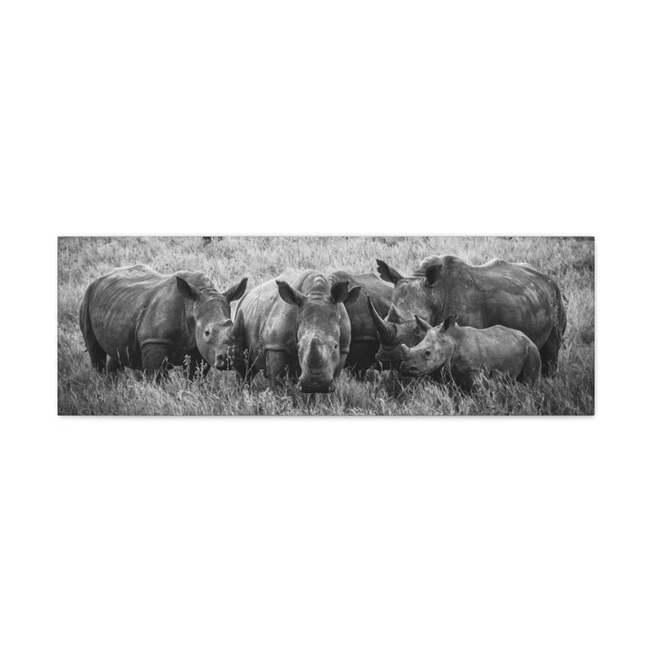 Rhino Family in Black and White - Canvas