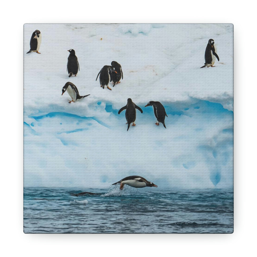 Porpoising Penguin - Canvas