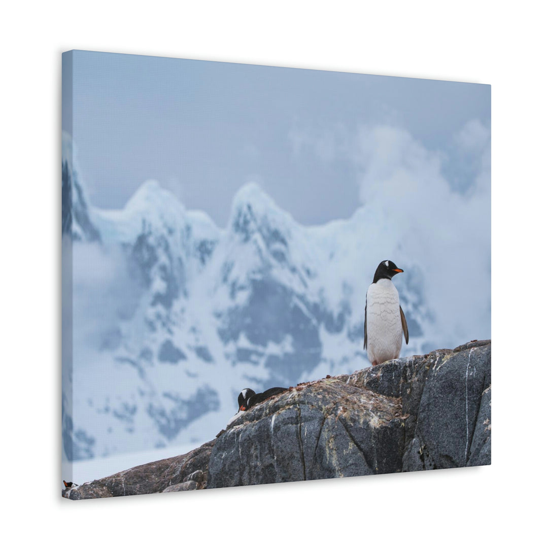 Poised Penguin - Canvas