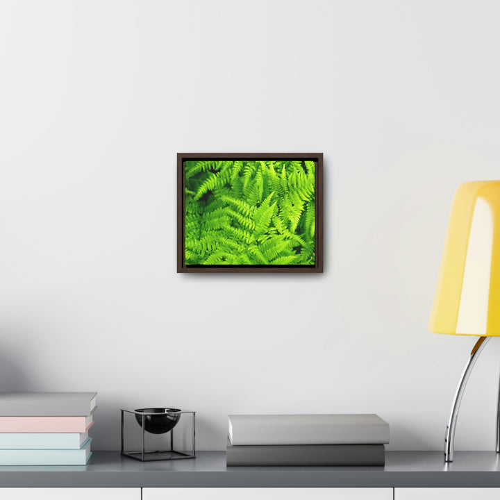 Ferns, Ferns, Ferns - Canvas with Frame