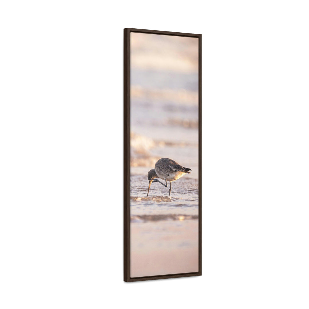 Willet Itch - Canvas with Frame