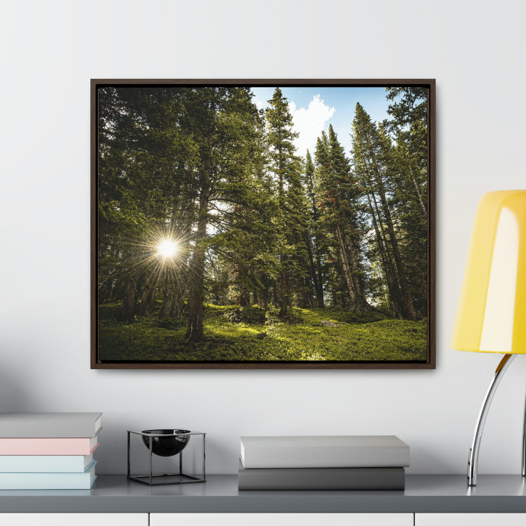 Forest Light - Canvas with Frame