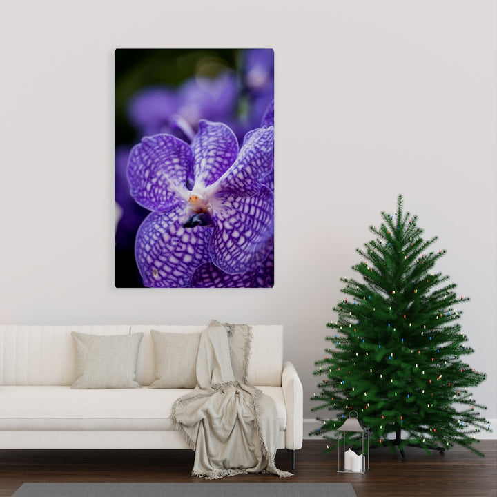 Orchid Detail - Canvas