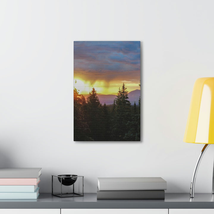 Rainy Sunset Through the Trees - Canvas