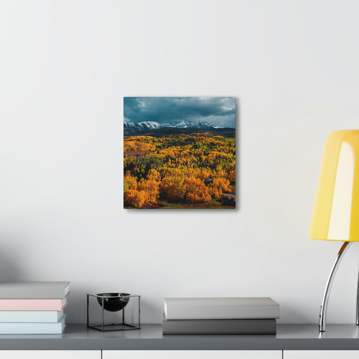 Golds of Autumn - Canvas