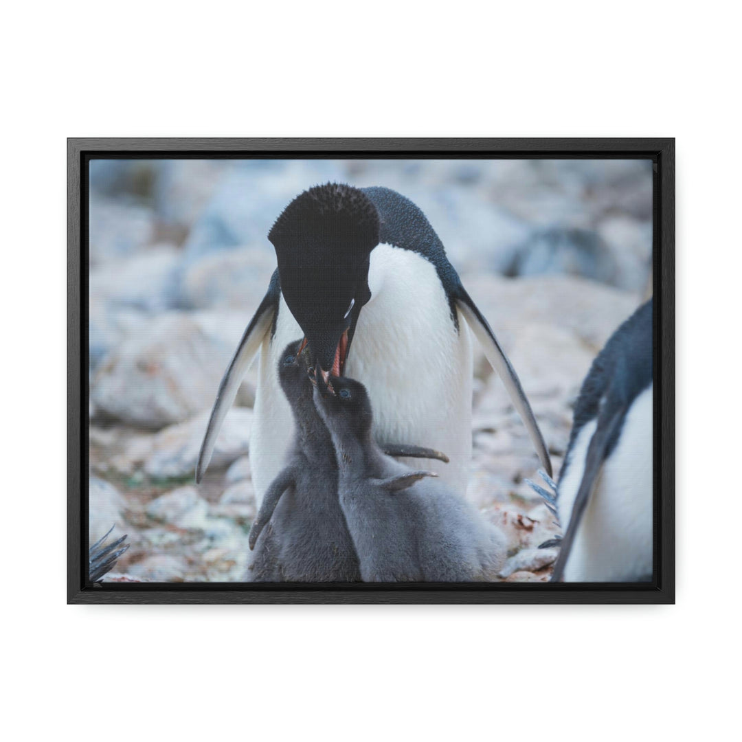 Feeding Time - Canvas with Frame