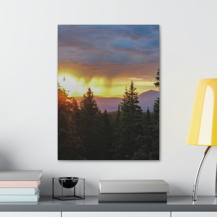 Rainy Sunset Through the Trees - Canvas