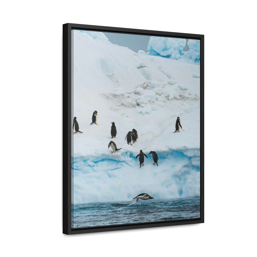 Porpoising Penguin - Canvas with Frame