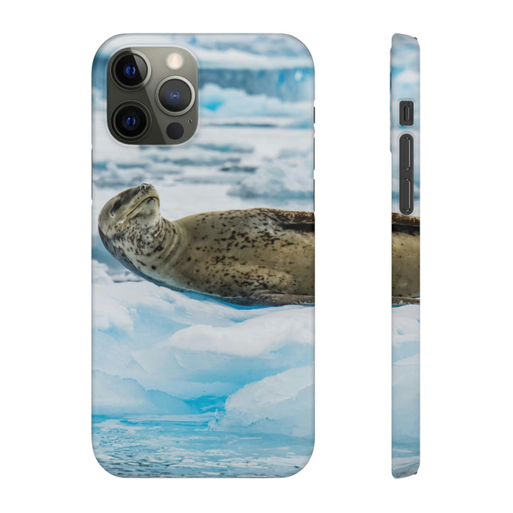 Leopard Seal Relaxing - Phone Case