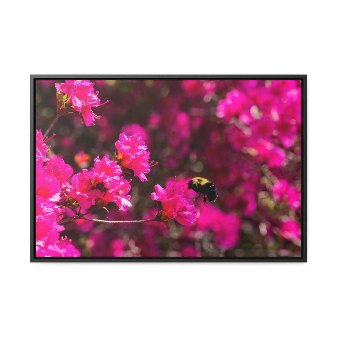 Hovering - Canvas with Frame