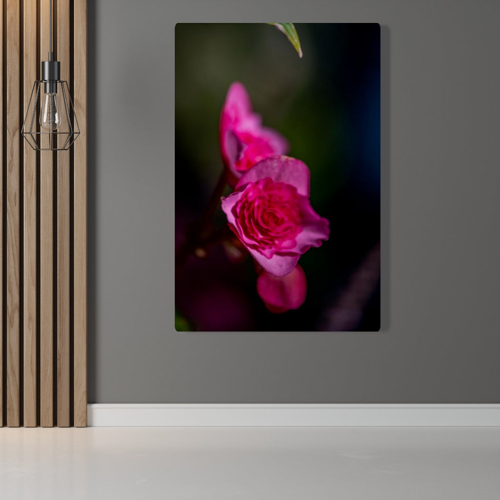 Hybrid Tea Lily - Canvas