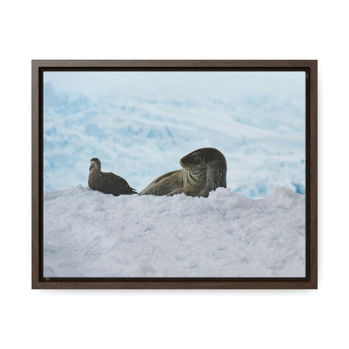 A Resting Pair - Canvas with Frame