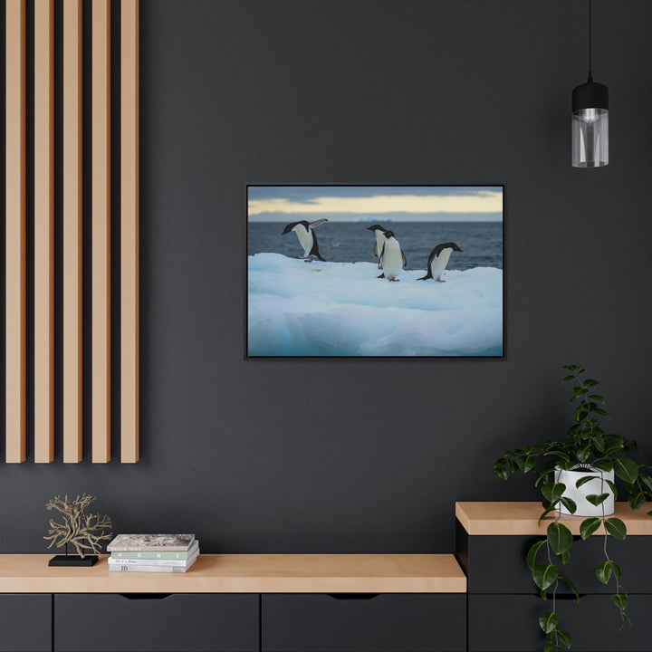 Penguin Dance - Canvas with Frame