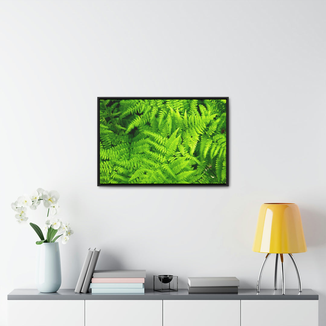 Ferns, Ferns, Ferns - Canvas with Frame