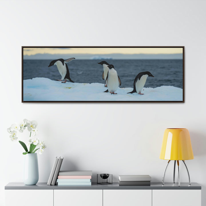 Penguin Dance - Canvas with Frame