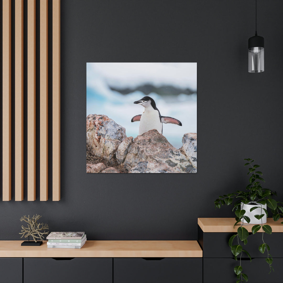 Stretched Penguin - Canvas