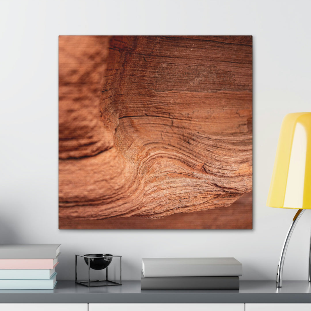 Sedimentary Rock Curves - Canvas