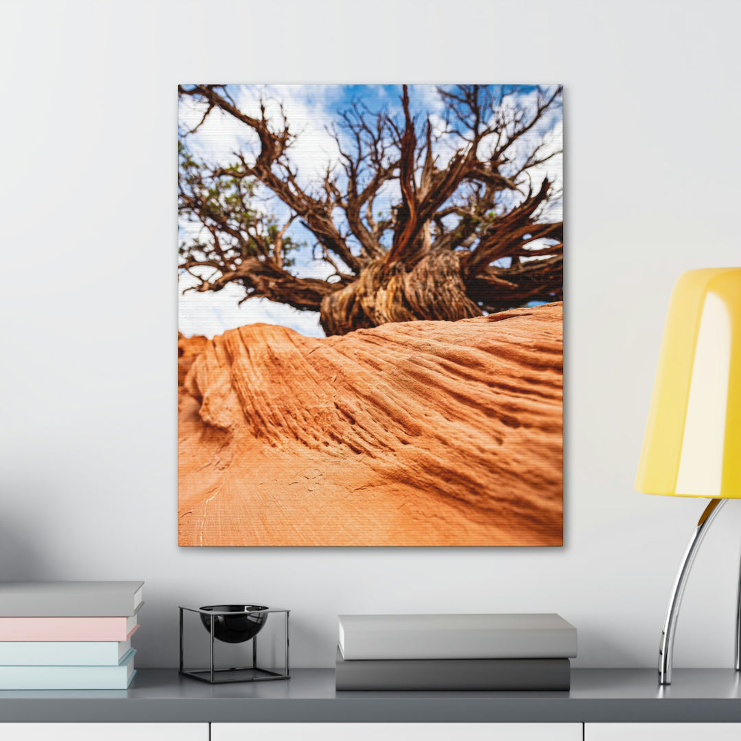 Desert Reach - Canvas