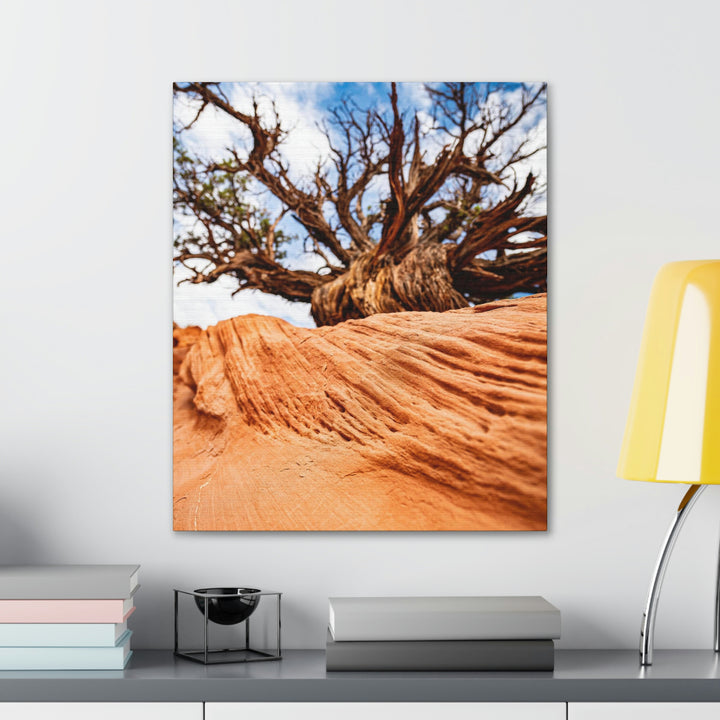 Desert Reach - Canvas