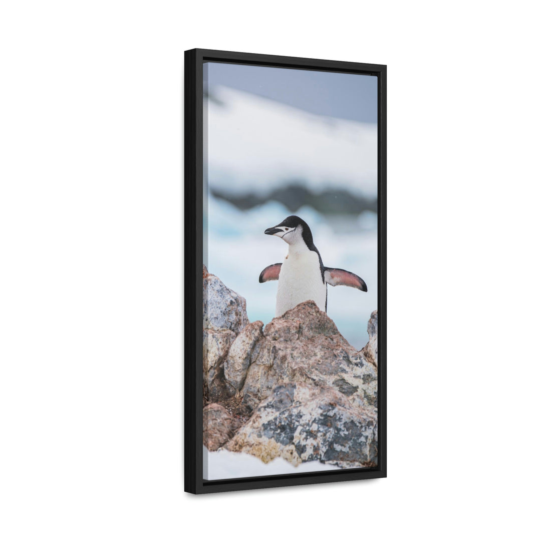 Stretched Penguin - Canvas with Frame