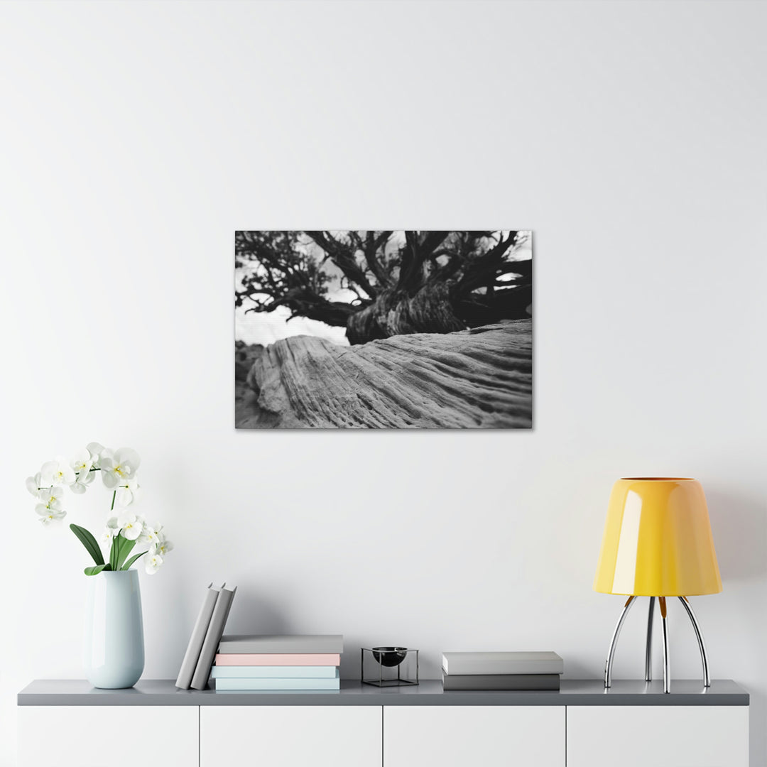 Desert Reach in Black and White - Canvas