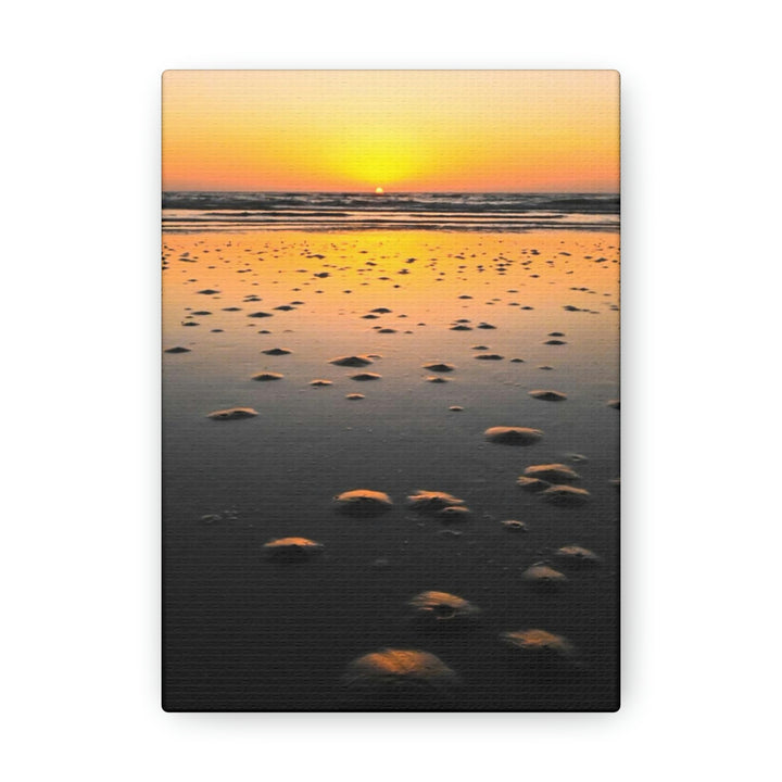 Burrows at Sunrise - Canvas