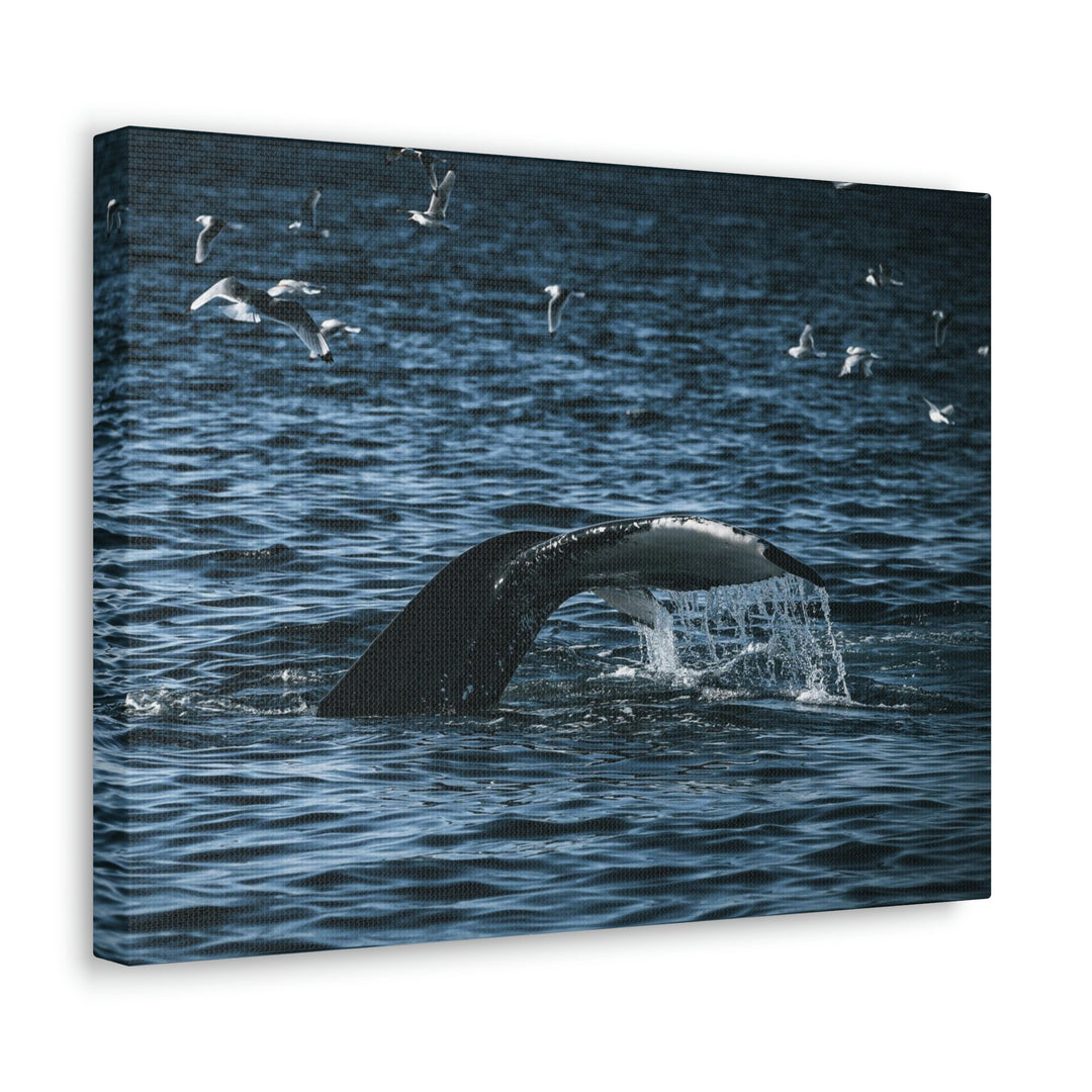 Feeding Tail - Canvas